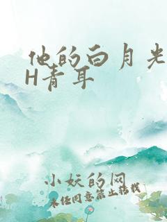 他的白月光HVH青耳