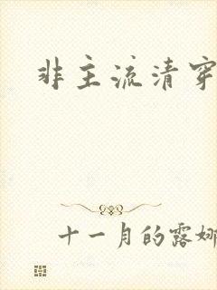 非主流清穿