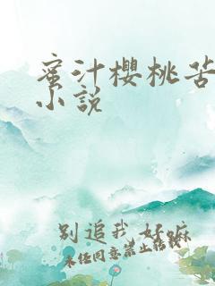 蜜汁樱桃苦咖啡小说
