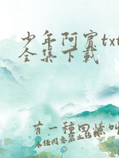 少年阿宾txt全集下载