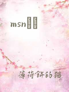 msnС˵