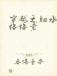 穿越之细水长流格格党