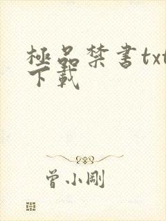 极品禁书txt下载