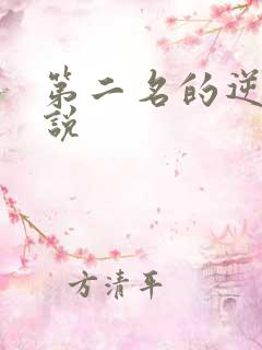 第二名的逆袭小说