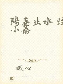 阳春止水 烟树小荞