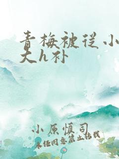 青梅被从小摸到大h补