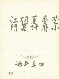 江羽夏梦莹神谕门是什么小说