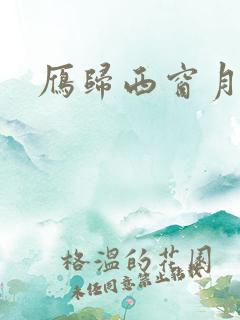 雁归西窗月小说