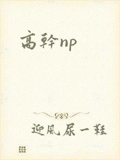 高干np