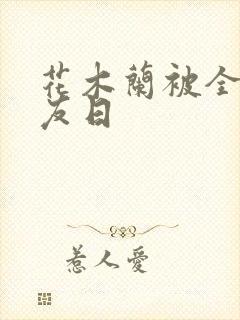 花木兰被全队队友日