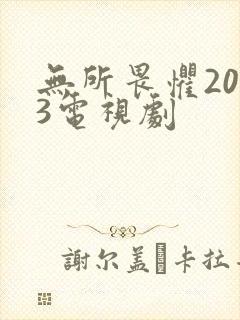 无所畏惧2023电视剧