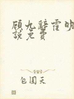 顾九辞霍明澈小说免费