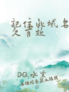 记住此域名记永久有效