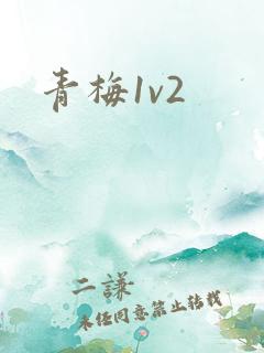 青梅1v2