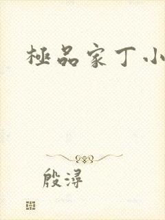 极品家丁小说