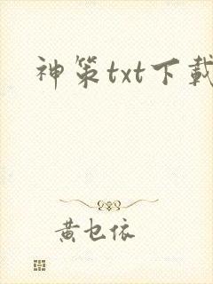 神策txt下载