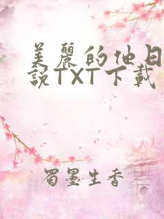 美丽的他日剧小说TXT下载