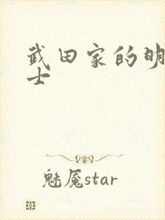 武田家的明国武士