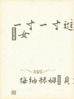 一寸一寸进入小姪女