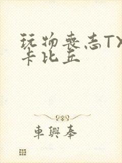 玩物丧志TXT卡比丘