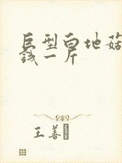 巨型白地菇多少钱一斤