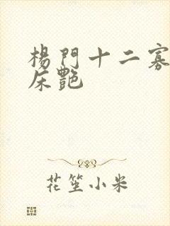 杨门十二寡妇肉床艳