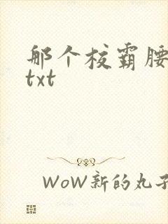 那个校霸腰好软txt