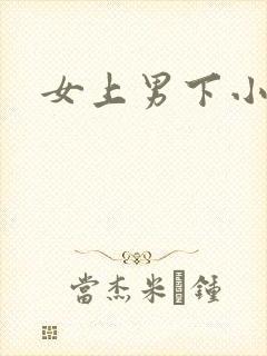 女上男下小说