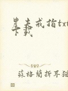 农夫戒指txt下载