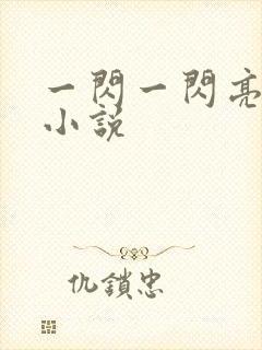 一闪一闪亮星星小说