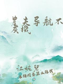 农夫导航不要打灰机