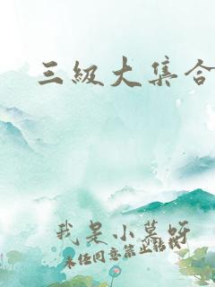 三级大集合