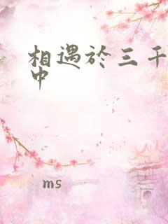 相遇于三千肉文中