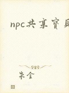 npc共享宝贝