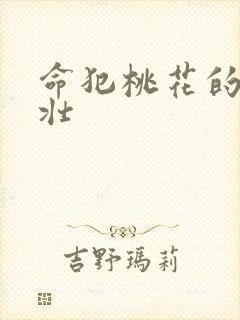 命犯桃花的李大壮