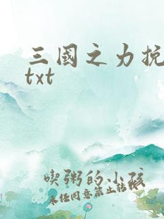 三国之力挽狂澜txt