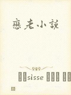 恋老小说