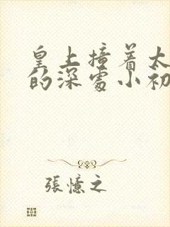 皇上撞着太子妃的深处小初