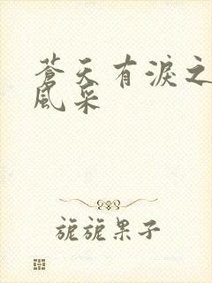 苍天有泪之军人风采