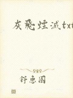 灰飞烟灭txt