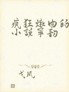 疯狂炖肉的全部小说宁韵