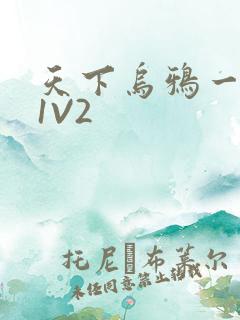 天下乌鸦一般黑1V2
