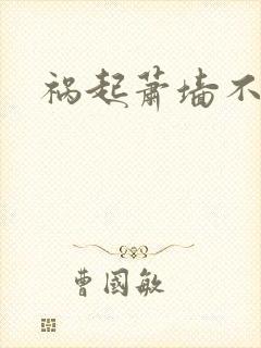 祸起萧墙不知戢