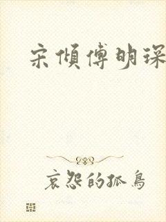 宋倾傅明琛小说