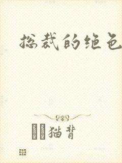 总裁的绝色娇妻