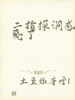 二指探洞感觉要飞了