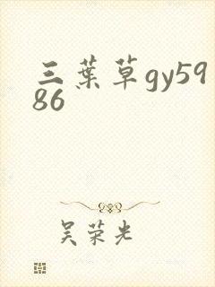 三叶草gy5986