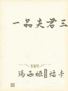 一品夫君三流妻