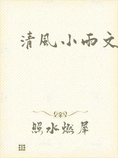 清风小雨文学网
