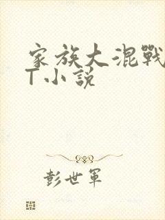 家族大混战TXT小说